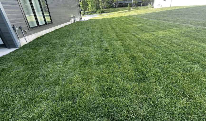 LAWN MOWING